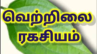 வெற்றிலை ரகசியம்| வெற்றிலை