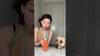 🐶：不好吃你还吃个没完！ 一人一狗俩逗比 还有这种操作 看一次笑一次 原创视频 幽默段子