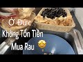 Hái nấm xào tỏi giòn ngon. Mẹo rửa nấm học từ nhà hàng | Người Việt ở Đức | Cuộc sống ở Đức