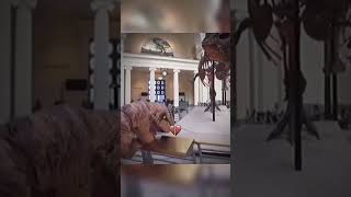 Dinosaur crying! You won't believe why!\