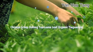 Chinese Organic Classical Oolong Tea Anxi Tieguanyin