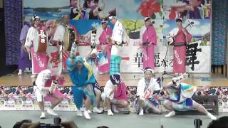 越谷阿波踊り振興会「全演舞」☆埼玉東部三大演舞祭プレイベント in ふれあいキューブ