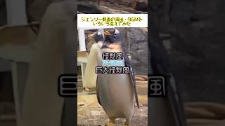 【♡】🐧効果音・演出によるペンギン動画の印象の違いについて🐧海響館 #Shorts #penguin #animals #kawaii