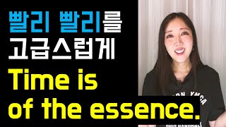 빨리빨리를 고급스럽게 Time is of the essence👏 (+ unheard of, open to까지 확실히 정리🤓💓)