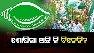 ଶୋଷିଲା ଅଛି କି ବିଜେଡି ? || BJD Special Story || BJD Sarkar || Odisha Government ||  Odisha Reporter