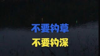 夏季夜钓：天黑之前打好窝，尽量不要钓水草，尽量钓浅水，莫通宵