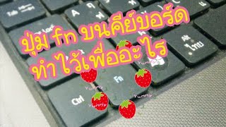 ปุ่ม fn ทำไว้เพื่ออะไร