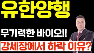 유한양행 무기력한 바이오! 주식 강세 장에서 하락 이유는?