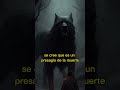 PERRO NEGRO de CHERNOBYL: Historias de TERROR  relatos de HORROR Creepypasta, PERRO POSEIDO #shorts