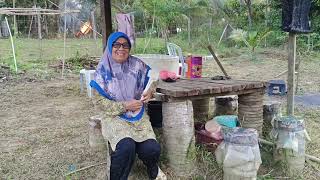 TANAM PADI DI KEBUN UTK CUCU KENAL ASAL NASI SAMBIL2 TENGOK KEADAAN KEBUN