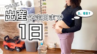 【臨月妊婦】ついに！！！出産予定日まで残り....『１日』｜毎日投稿