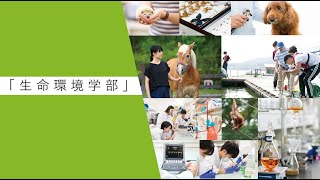 学部紹介MOVIE 生命環境学部