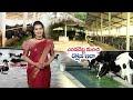 11th march 2024 annadata అన్నదాత full episode etv telugu