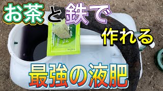 野菜作りが楽しくなる【タンニン鉄】お茶と鉄で作れる最強の液肥