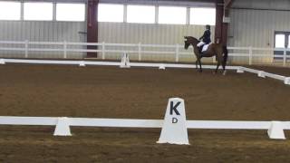 10/18/15 - Dezdemona - USDF Region 1 GAIGs - First Level AA