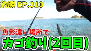 EP.310【千葉内房カゴ釣り】人生2回目のカゴ釣りを岩井袋の磯場で体験