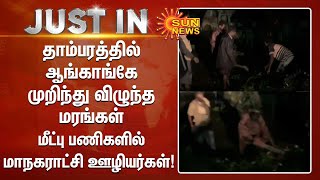 தாம்பரத்தில் ஆங்காங்கே முறிந்து விழுந்த மரங்கள்! மீட்பு பணிகளில் மாநகராட்சி ஊழியர்கள்! | Sun News