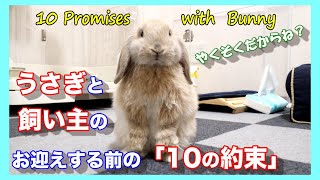 「うさぎと飼い主の10の約束」 うさぎをお迎えする前に！うさぎの十戒