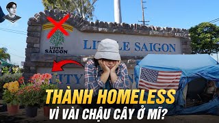 MẤT 4 TỶ MUA NHÀ, NGƯỜI VIỆT Ở MĨ BỊ DỌA TỐNG CỔ VÌ TRỒNG VƯỢT QUÁ 5 CHẬU HOA. ẢO THẬT ĐẤY!