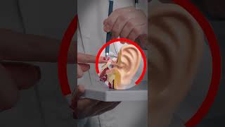 Ear Infection: Home Remedies to Get Rid of Ear Pain Fast