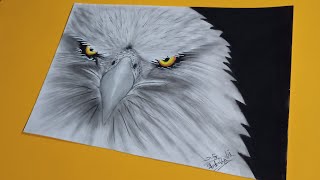 Realistic Eagle drawing Step by step || pencil drawing for beginner's