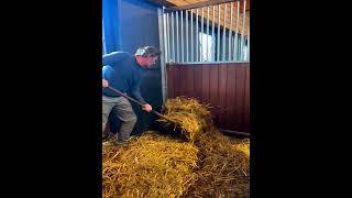 Horse Stables Will Never Be The Same