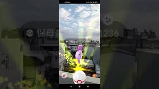 〈POKEMON GO〉捕捉色違保母曼波(SHINY Alomomola)