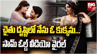 Samantha Naga Chaitanya Old Viral Video : చైతు దృష్టిలో నేను ఓ కుక్కను | BIG TV Entertainment