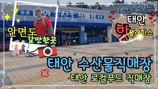 [태안여행]태안가득 수산물 직매장\u0026태안로컬푸드직매장(안면도덤앤더머펜션.010-2827-5552)#펜션운영브이로그#아름다운청년#안면도여행