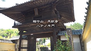 龍吟山　天猷寺　ハナノキ門　十三仏石造　浄珍榧　岐阜県 瑞浪市 釜戸町