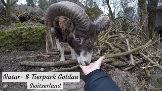 Natur- und Tierpark Goldau, Switzerland