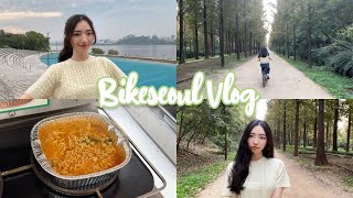 남이섬 왜 가? 서울에 있는 남이섬 가는 방법 알려줌🚲 따릉이 브이로그가 많이 없는 이유?! vlog | 따릉이 핫스팟 | 난지한강공원 | 한강라면 | 메타세콰이어길 | 데이트코스