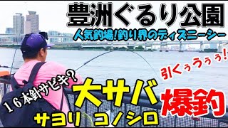 サビキ釣りで大サバが爆釣フィーバーで止まらない！16本針のサビキ仕掛け!?【豊洲ぐるり公園】コノシロ祭りとサッパタイム