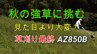 【斜面刈り】秋草に四苦八苦 Challenge autumn long grass