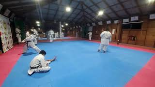 Live-日本空手道井上派糸東流慶心会-Japan Karate-do Inoue-ha Shito-ryu Keishin-kai-By Shihan Julio Martinez #karate