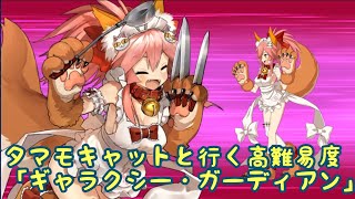 【FGO】タマモキャットと行く高難易度　復刻セイバーウォーズII