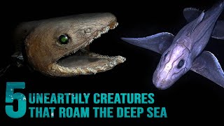 5 Unearthly Creatures That Roam the Deep Sea