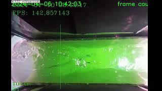 Fish Counting Device - ML/AI Principles