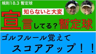 【知らないと大変】宣言してる？【暫定球】