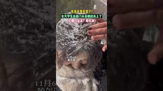 东北的大雪也太猛了！女大学生出趟门头发都被冻上了！#东北大雪 #天寒地冻 #太猛烈了