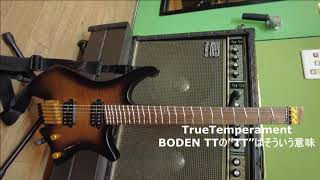 strandberg* BODEN TT ～機材紹介　ギター編　その1～