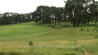 Shillong Golf Link - Unique natural golf course in Asia