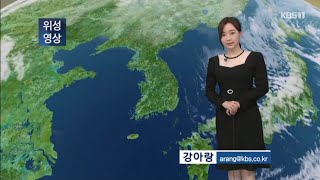 5시뉴스 강아랑기상캐스터 211127