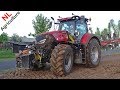 Ploughing | Ploegen met Case IH Optum 250 + Kverneland | Pleizier & Timmer | 2019