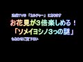 豊島区の誇り！染井よしのが満開　ソメイヨシノ誕生の地駒込界隈を歩く