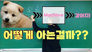 [딥러닝] 3-2강. 로지스틱 회귀 (Logistic regression)로 보는 머신이 강아지를 학습하는 과정 | 이진 분류 문제 #Likelihood