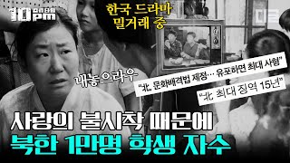 [#10pm] 북한에서 난리난 드라마 '사랑의 불시착' 속 장면. 실제 북한 사람들이 사형의 위기에도 한국 드라마를 보는 방법?│#프리한19 #디글