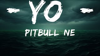 Pitbull, Ne-Yo - Time Of Our Lives (Lyrics)  | 25 Min