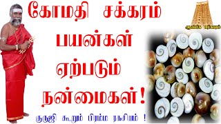 கோமதி சக்கரம் பயன்கள் ஏற்படும் நன்மைகள் |தன வரவைப் பெருக்கி சகலமும் தரும் கோமதிசக்கரம் gomathichakra