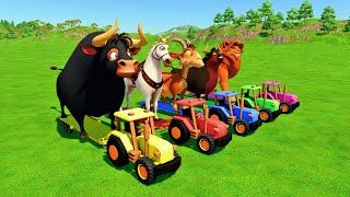 TRANSPORTING GIANT FERDINAND COWS, HORSES, GOATS, LION, BULLS WITH TRACTORS - Farming Simulator 22!